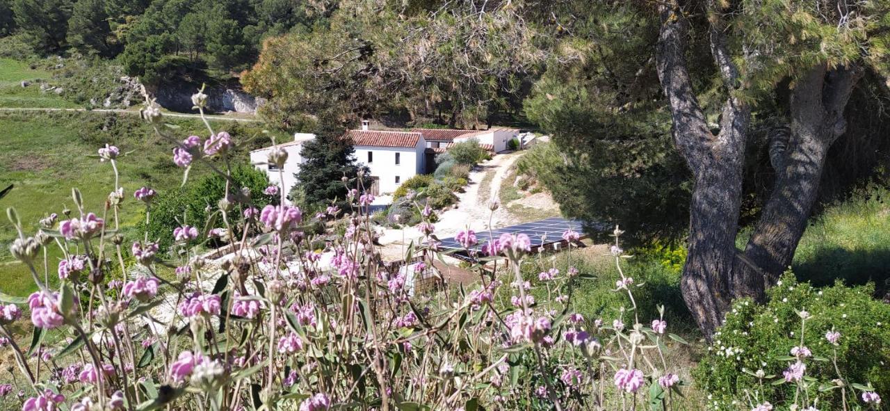 Finca Las Morenas Yunquera Ngoại thất bức ảnh
