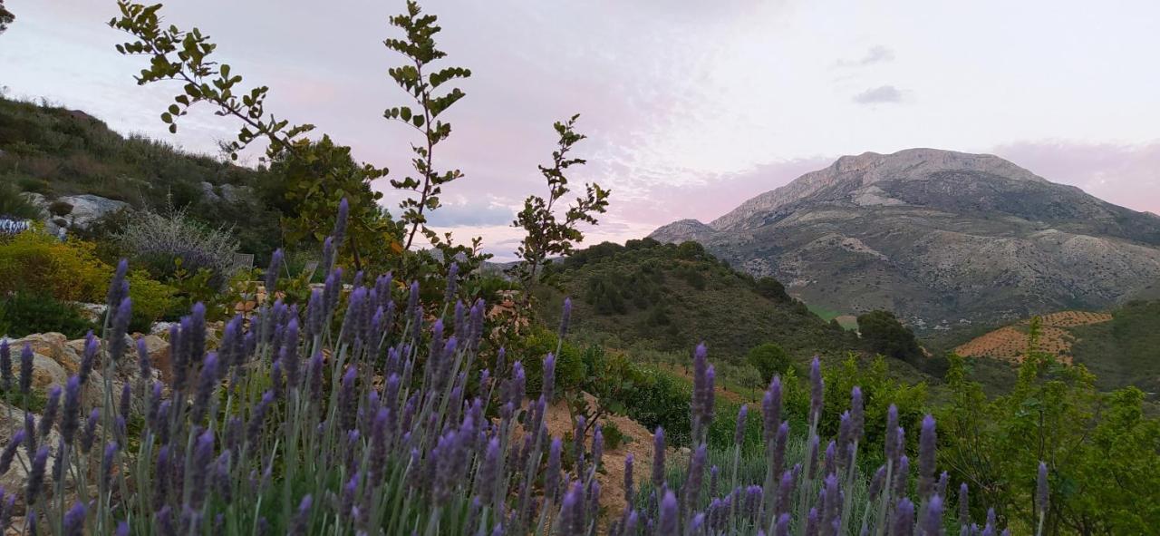 Finca Las Morenas Yunquera Ngoại thất bức ảnh