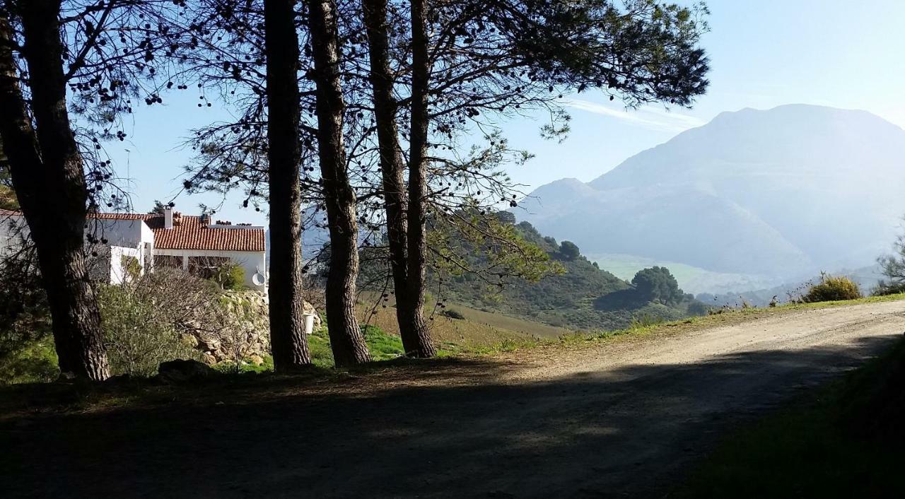 Finca Las Morenas Yunquera Ngoại thất bức ảnh